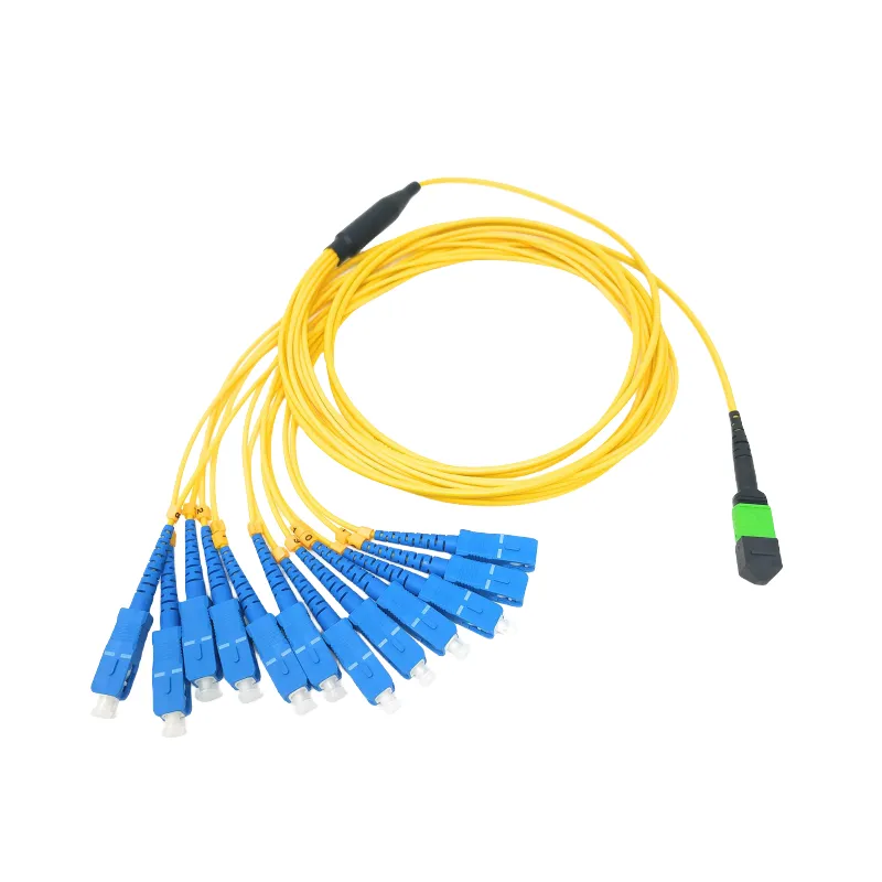 product-800-800 product-800-800